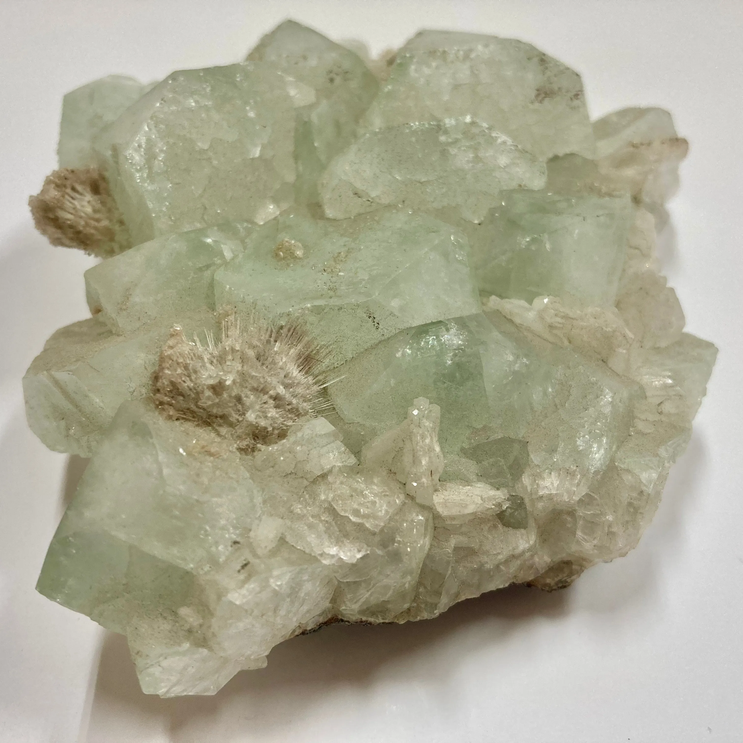 Apophyllite