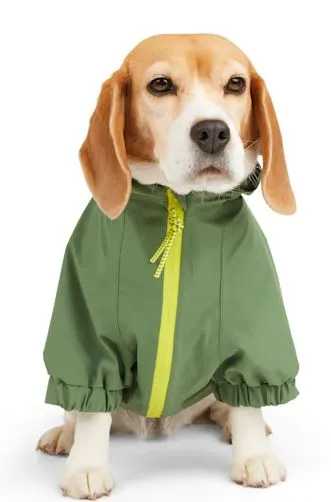 Backcountry x Petco Green Rain Jacket - Various Sizes Available - BRAND NEW!