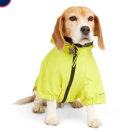 Backcountry x Petco Yellow Rain Jacket - Sizes XS and S - BRAND NEW!