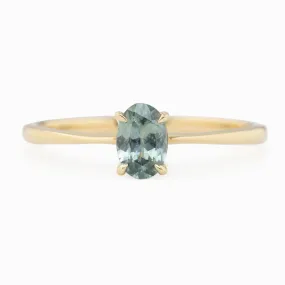 Nina Ring 6x4mm 0.60ct Montana Sapphire, 14k Yellow Gold