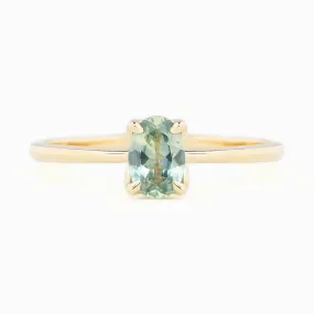 Sara Ring 0.69ct Parti Aqua Green Montana Sapphire, 14K Yellow Gold (One of a kind)